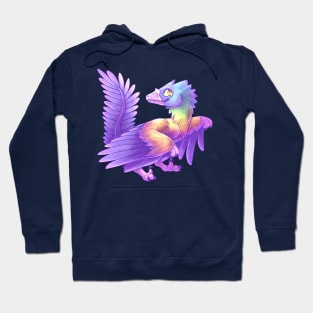 Pastel Caihong juji Hoodie